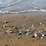 Apartamento In 54701 Bibione
