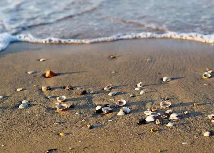 Daire In 54701 Bibione